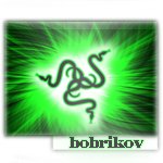 bobrikov
