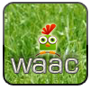 waac